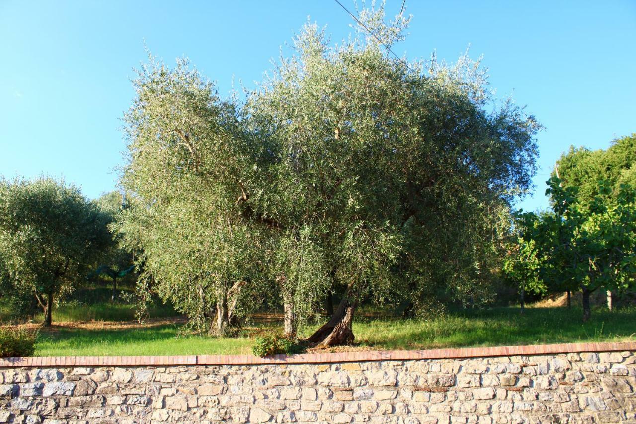 Casale Degli Ulivi Villa Roccadaspide Exterior foto